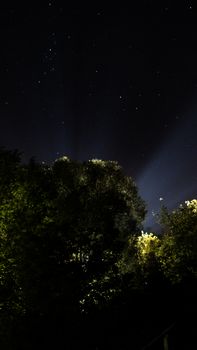 A serene night sky full of stars looms above illuminated trees, captured in a vertical shot.