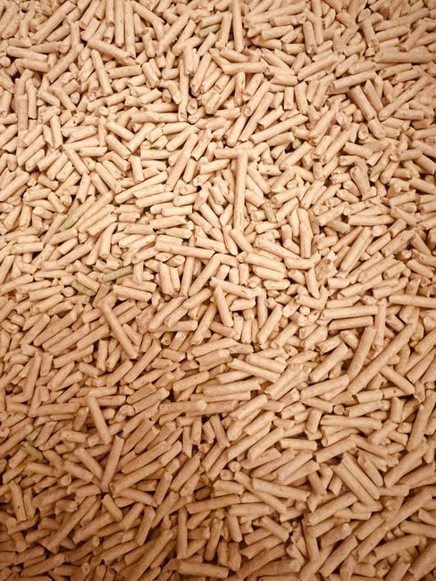 Jak wysoka chłonność żwirku drewnianego przekłada się na codzienną obsługę kuwety 5 A detailed top view of a large pile of wood pellets used for renewable fuel and energy.