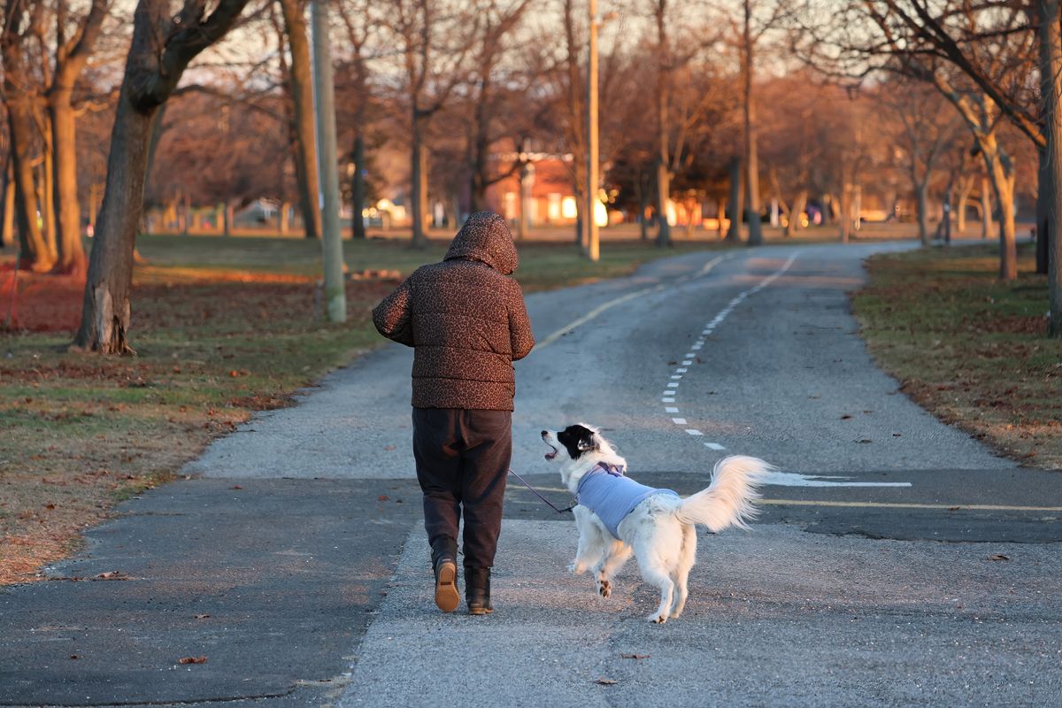 Woman walking her dog on a park path during a chilly fall morning. Illustrative editorial photograph.