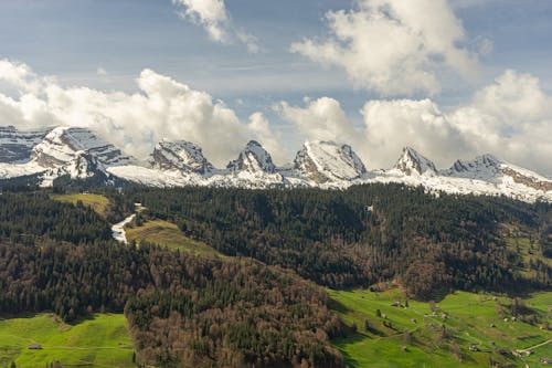 Forest and Mountains behind