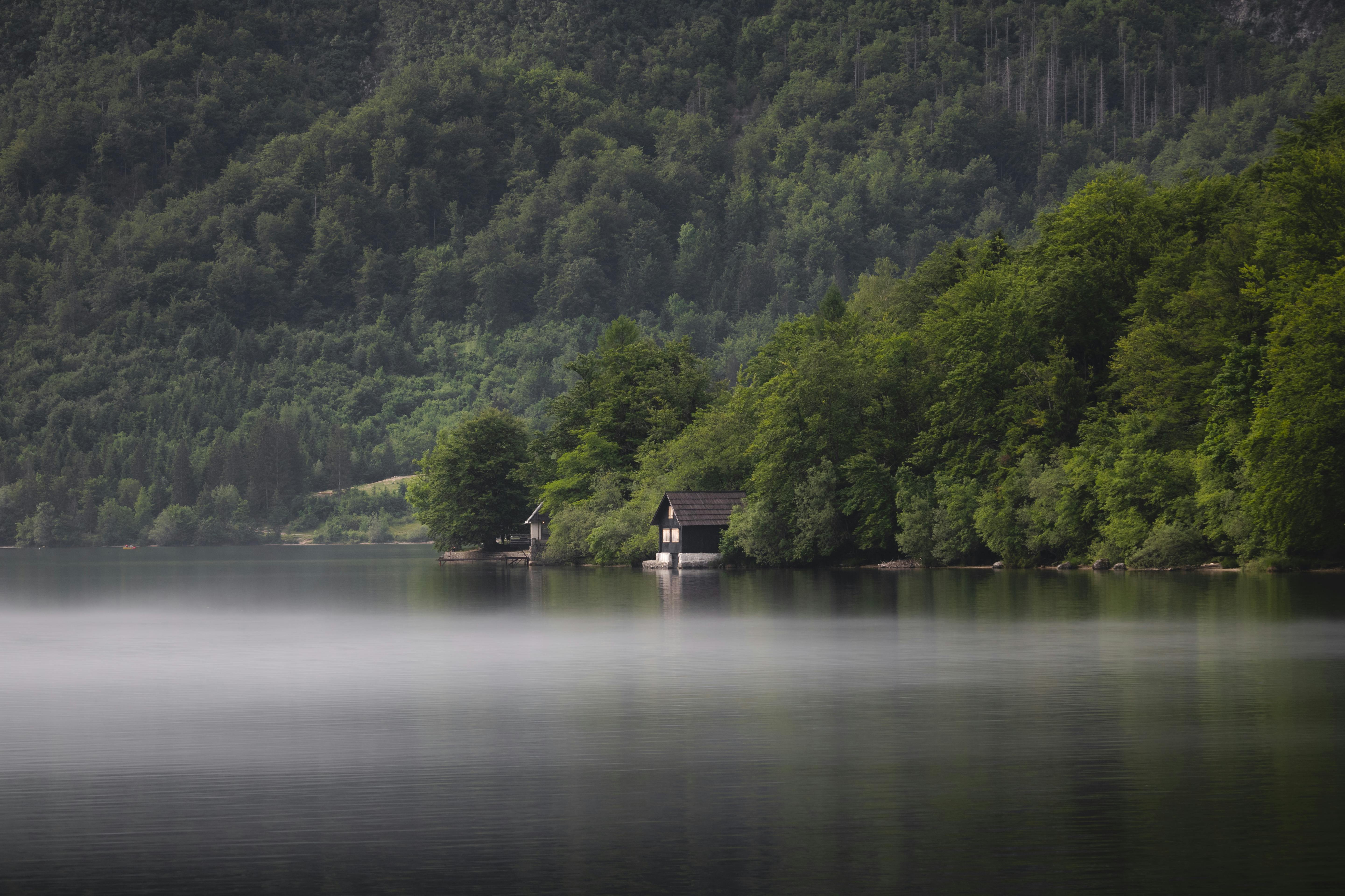 a house sits on a lake surrounded by trees