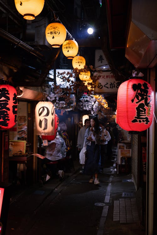 Narrow Alley with Traditional Lanterns at Night