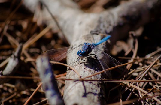 Image by Michalis Venetsianos