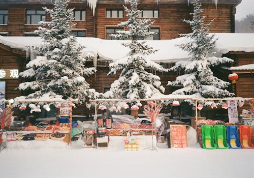 Fotobanka s bezplatnými fotkami na tému chladný, exteriér budovy, sneh