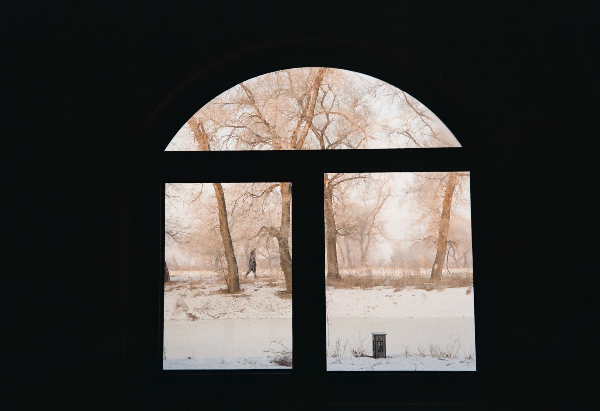A captivating frosty winter scene through an arched window revealing snow-covered trees.