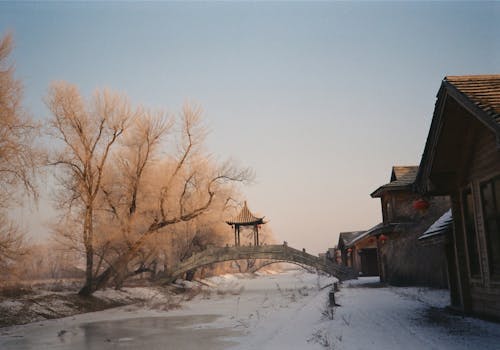 Photos gratuites de arbres, citadin, fleuve