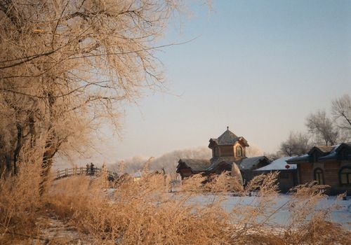 Free Tranquil winter scene featuring a snowy landscape with frost-covered trees and a rustic wooden structure. Stock Photo