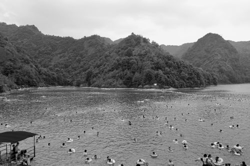 Free Swimmers in the lake Stock Photo