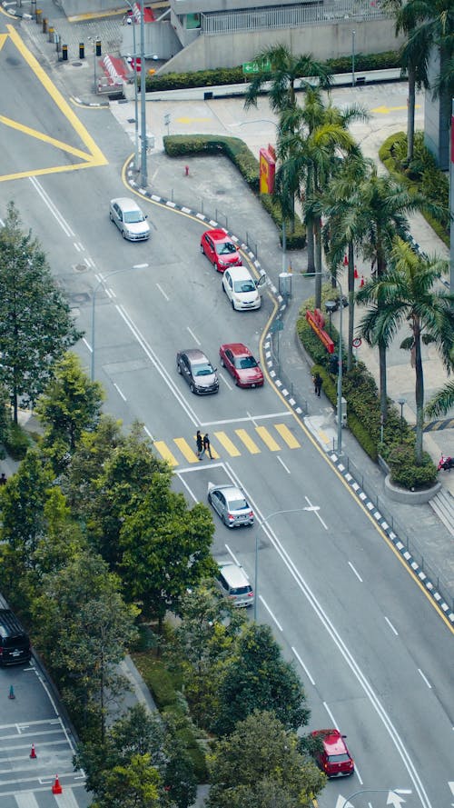 Aerial View on a Busy Road
