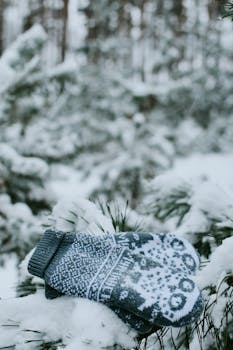 Warm woolen mittens with owl pattern resting on snowy branches in winter forest.