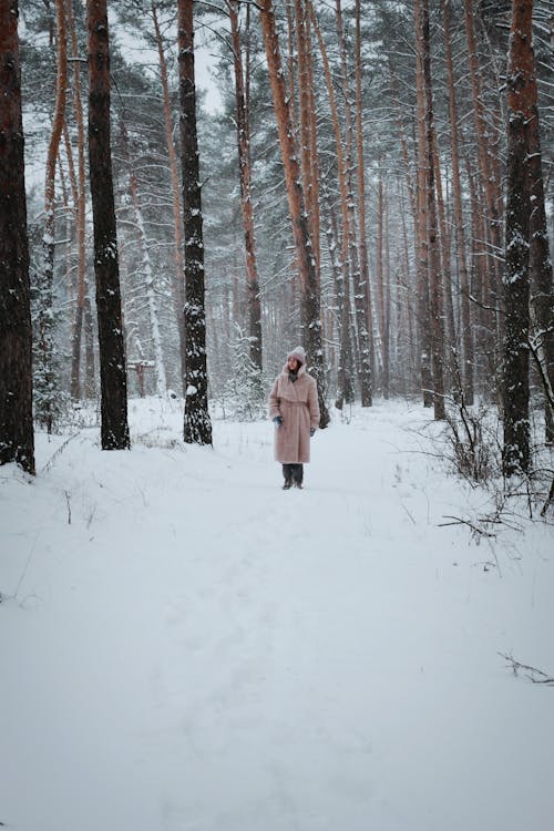 Darmowe zdjęcie z galerii z drzewa, fotografia mody, kobieta