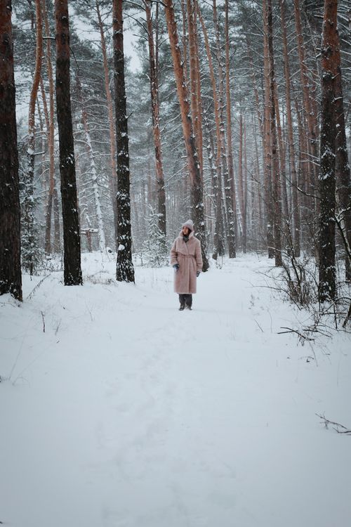 Free A woman in a pink coat strolls through a snowy forest surrounded by tall pine trees. Stock Photo