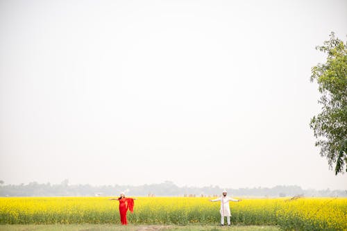 Foto profissional grátis de afetuoso, área, campo de flores