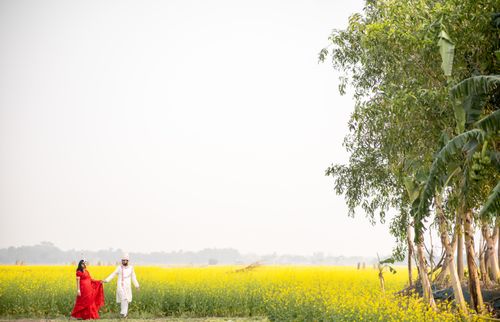 Free Newlywed Indian couple in traditional attire walking in a vibrant yellow flower field. Stock Photo
