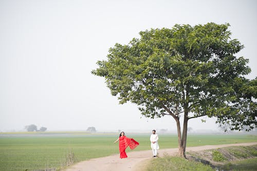 Foto profissional grátis de andando, área, árvore