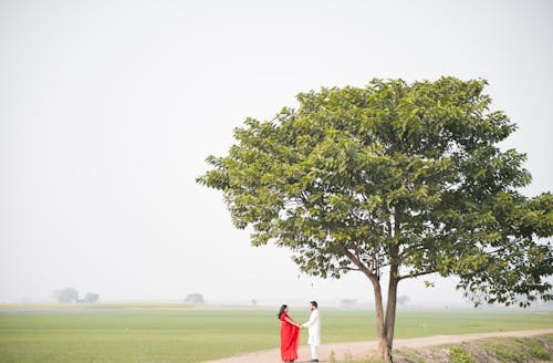 Romantic Couple Holding Hands by Tree in Countryside