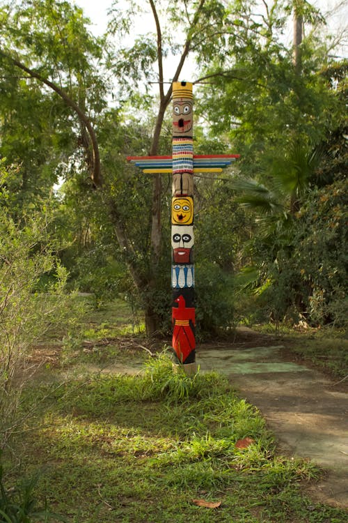 Foto d'estoc gratuïta de bosc, cultura indígena, cultura tradicional