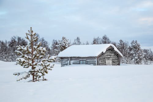 View of a Wooden Hut on a Field Covered in Snow 