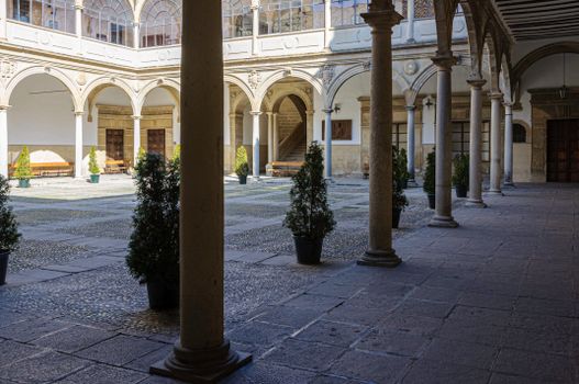 Trees in Building Courtyard