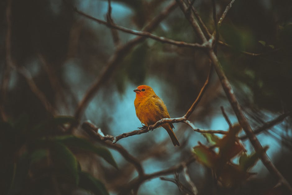 A songbird perched on a branch, positioned according to the rule of thirds - bird frame composition guide A songbird perched on a branch, positioned according to the rule of thirds - bird frame composition guide