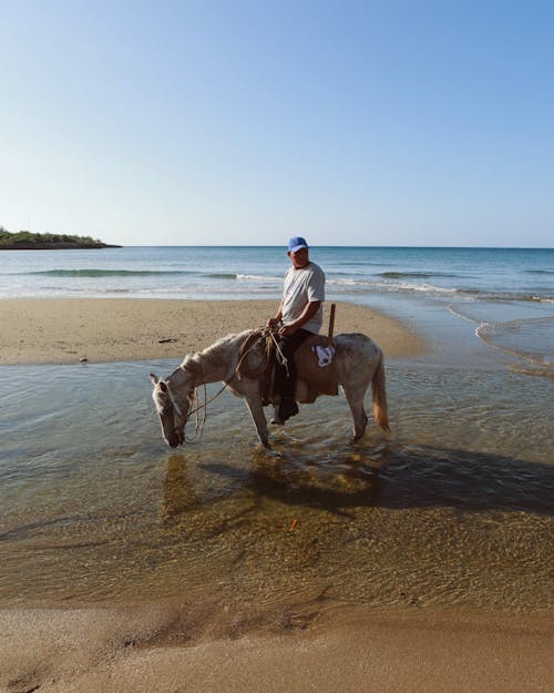 Kostenloses Stock Foto zu mann, meer, pferd