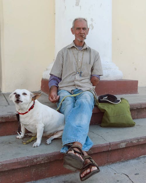 Kostnadsfri bild av avslappning, cigarr, hund