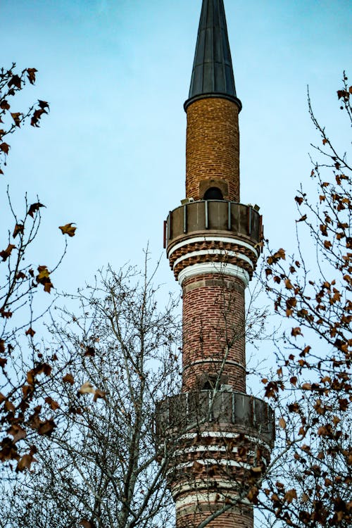 Low Angle Shot of a Minaret seen between Tree Branches 