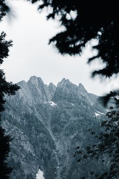 A stunning view of rocky mountain peaks, framed by trees, showcasing nature's beauty and ruggedness.