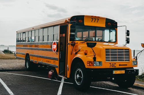 Foto d'estoc gratuïta de aparcat, autobús escolar, cotxe