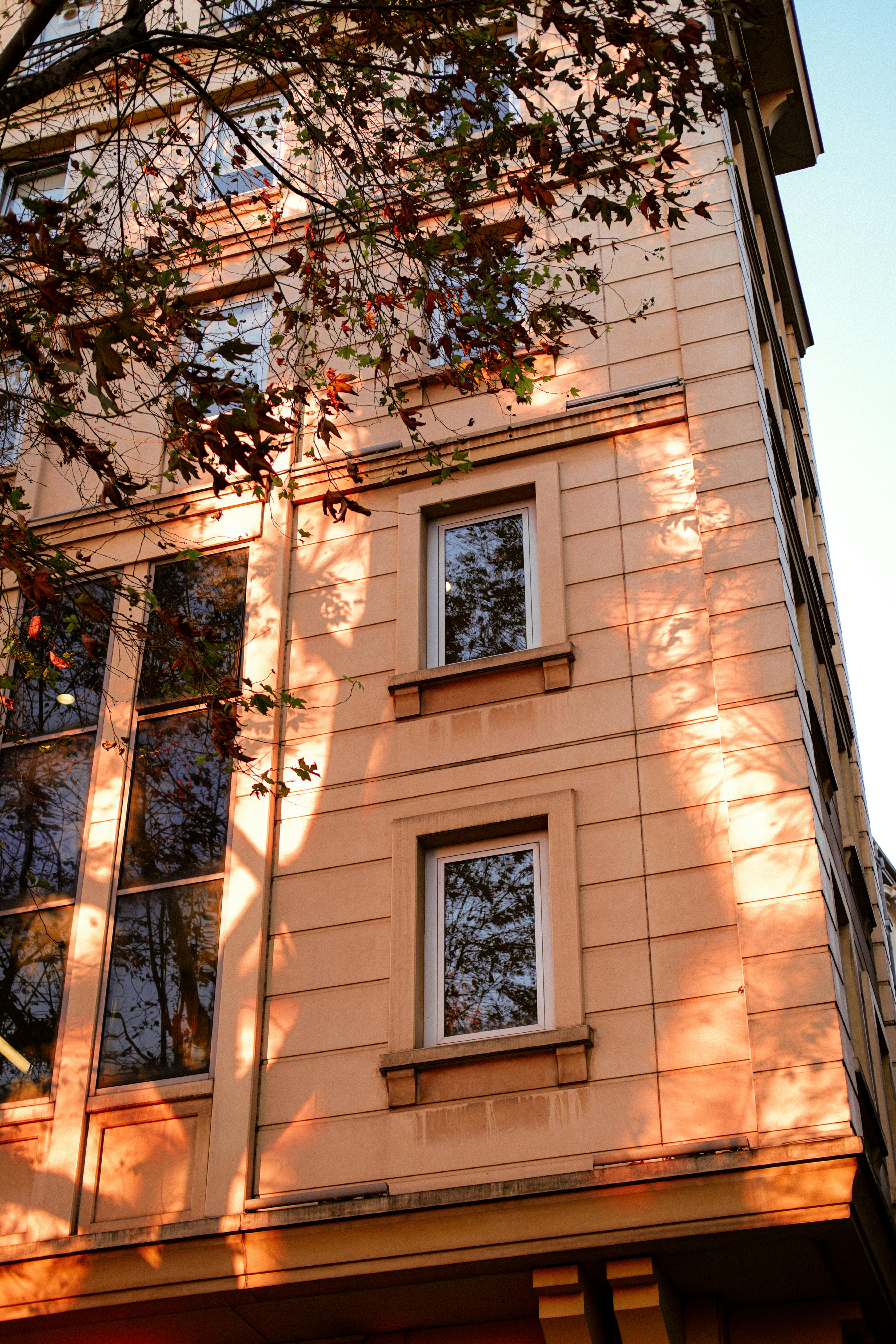 A city building facade with sunlit windows and tree reflections, capturing an urban autumn setting.