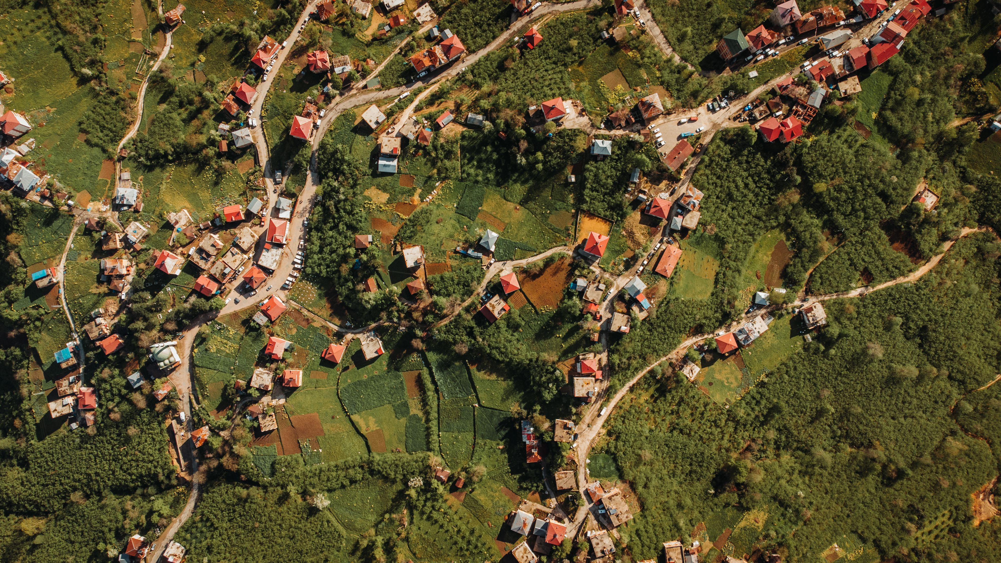 The Power of Local: Why Strategic Community Engagement Drives Success for Global Household Brands — Photo by Vedat Kandemir o