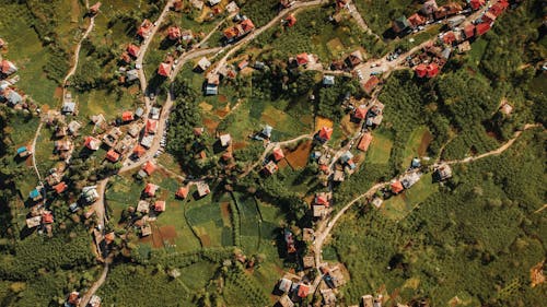 Základová fotografie zdarma na téma budovy, domy, hřiště