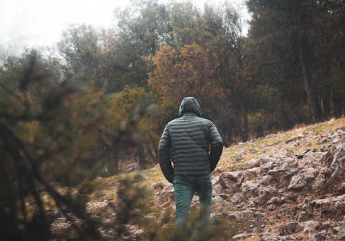 Fotos de stock gratuitas de abajo chaqueta, bosque, caminando