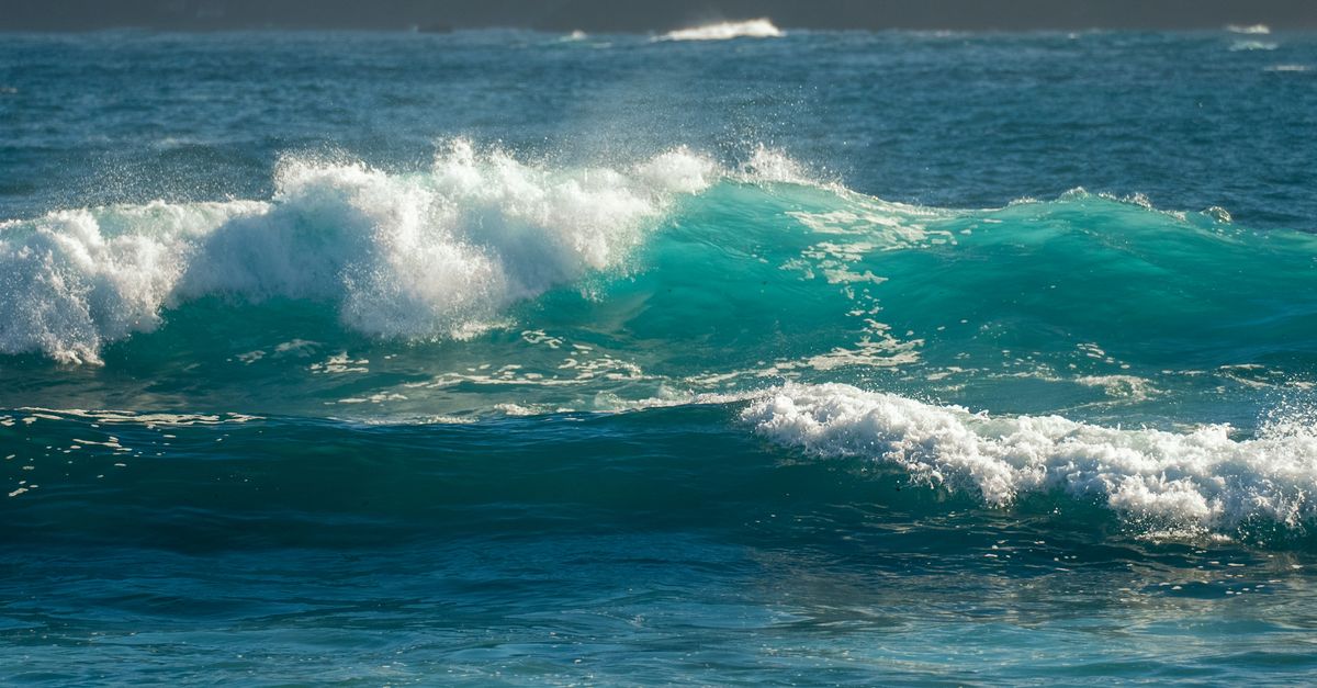 El nivel del mar es más alto de lo que se creía y millones de personas estarían en riesgo, revela estudio El nivel del mar es más alto de lo que se creía y millones de personas estarían en riesgo, revela estudio
