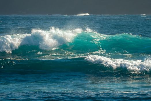 Cómo las Olas de Ondeado retiran toxinas