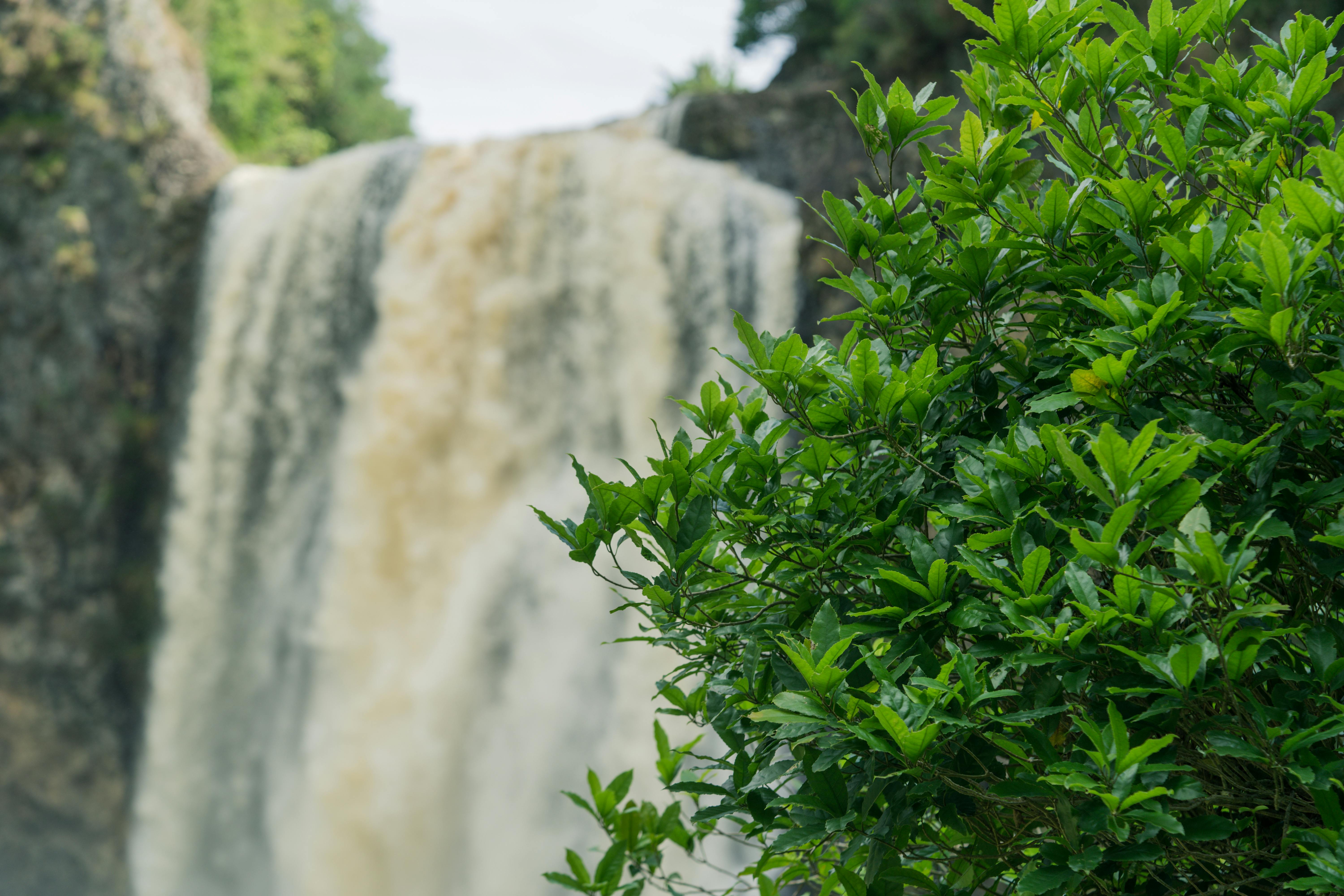 hunua falls new zealand