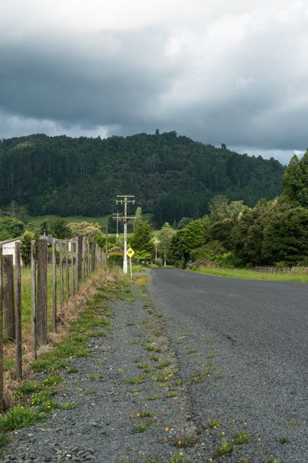 Beyond the Lights: Exploring New Zealand's Beauty Beyond the Lights: Exploring New Zealand's Beauty