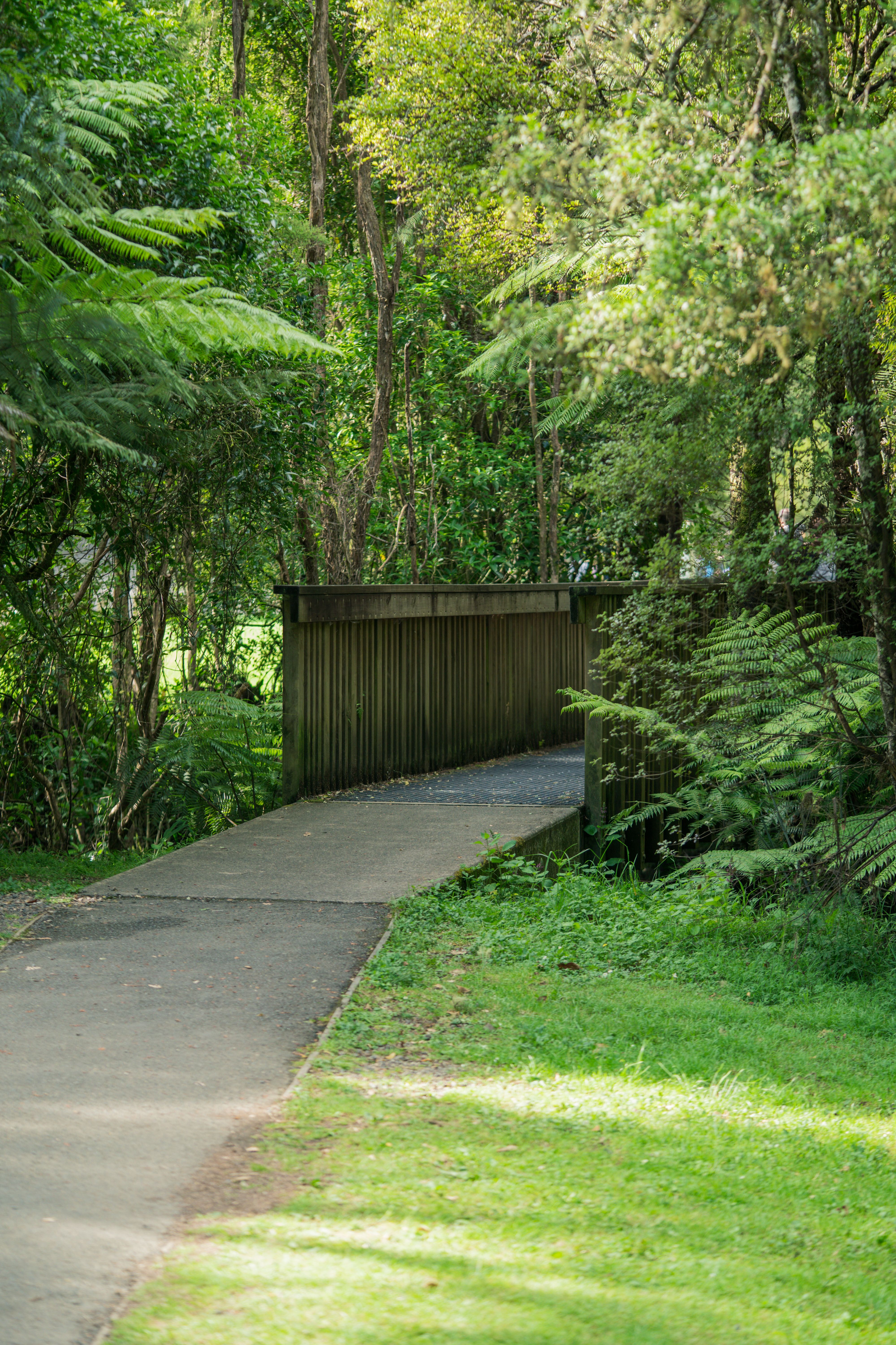 Some of My Favorite Retreat Locations in New Zealand