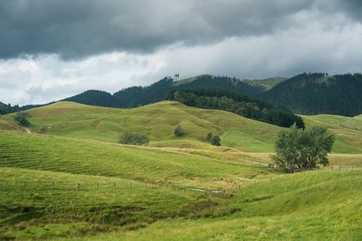 Lush green rolling hills and forests under cloudy skies in Hunua, New Zealand.