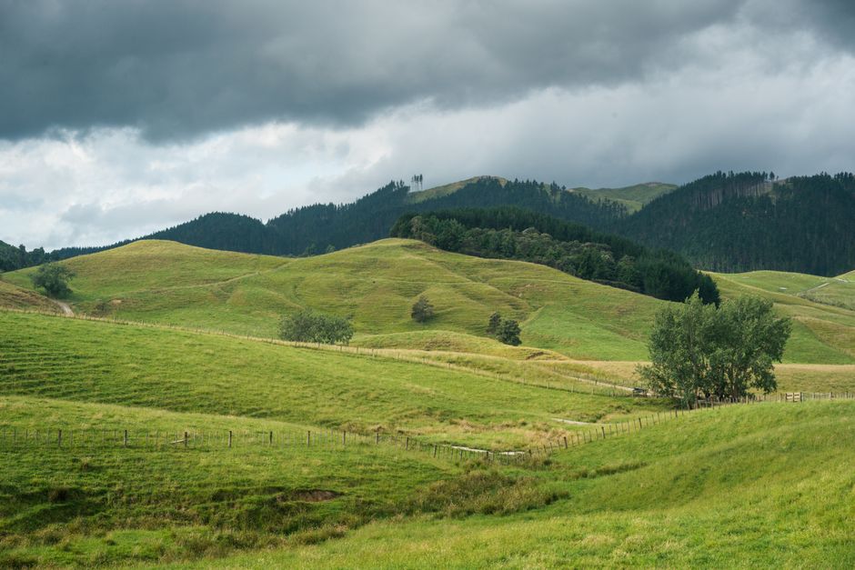 Hobbiton Movie Set in Matamata, New Zealand, with hobbit holes and lush green hills