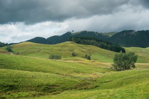 Free Lush green rolling hills and forests under cloudy skies in Hunua, New Zealand. Stock Photo