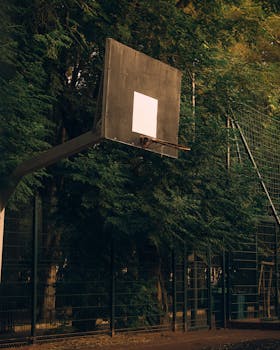 Basketball hoop on an outdoor court in Sétif, Algeria, with surrounding trees.
