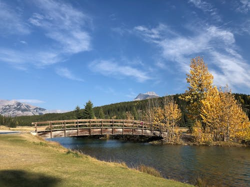 Wooden Bridge over Creek in Autumn