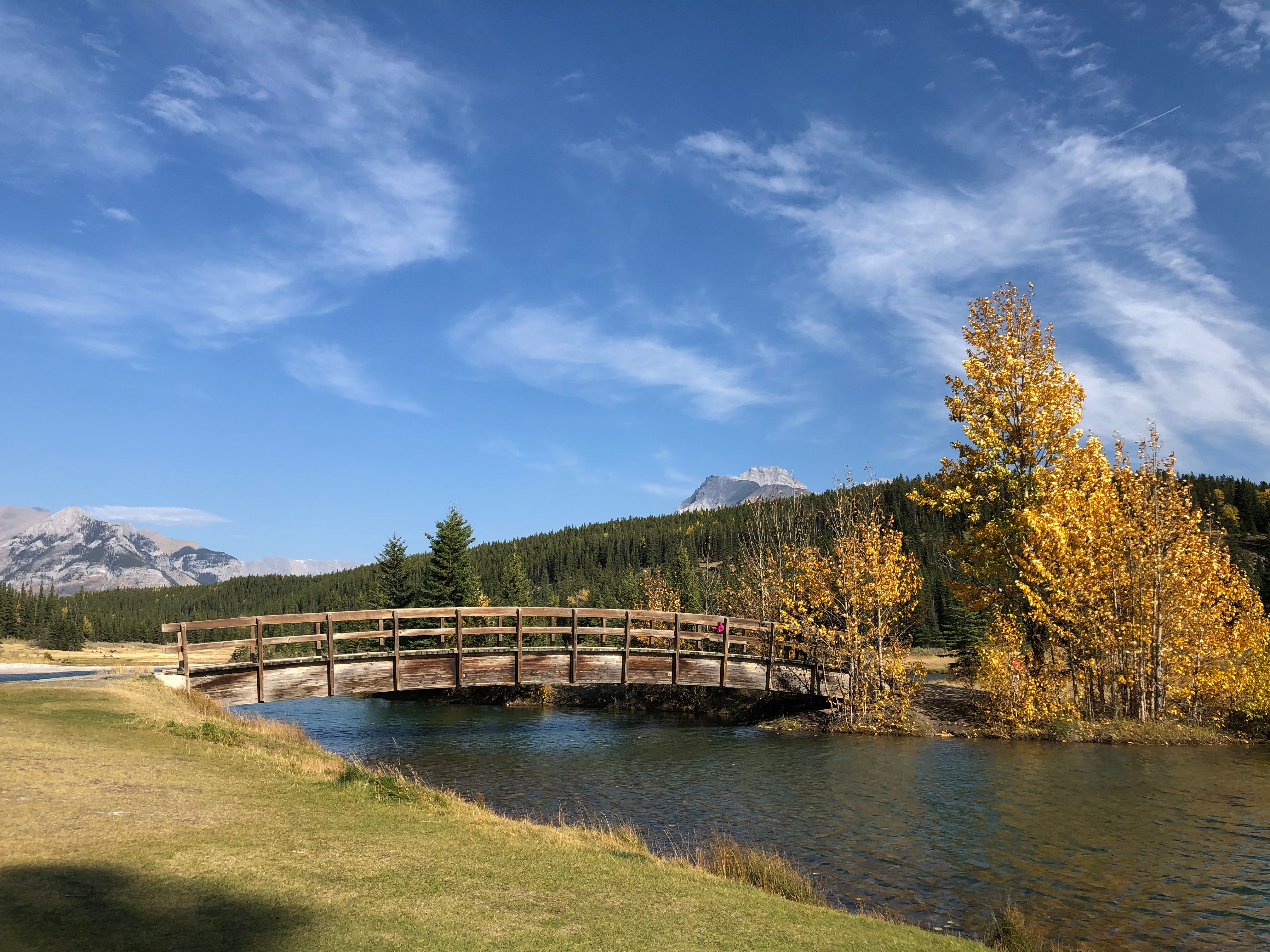 Wooden Bridge over Creek in Autumn · Free Stock Photo