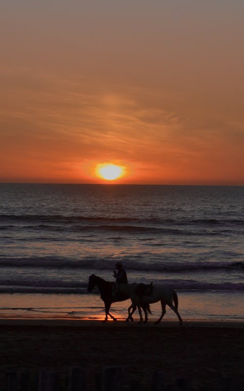 Person Riding Horse on Beach at Sunset