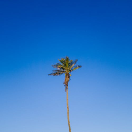 Free stock photo of beach, blue sky, sky