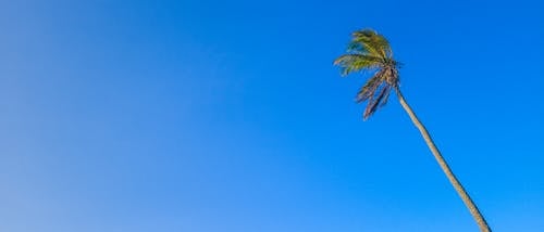 Free stock photo of 21 9, beach, blue sky