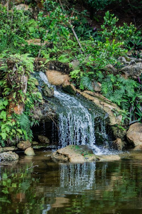 Free Tranquil waterfall flowing through lush forest greenery, creating a serene natural scene. Stock Photo