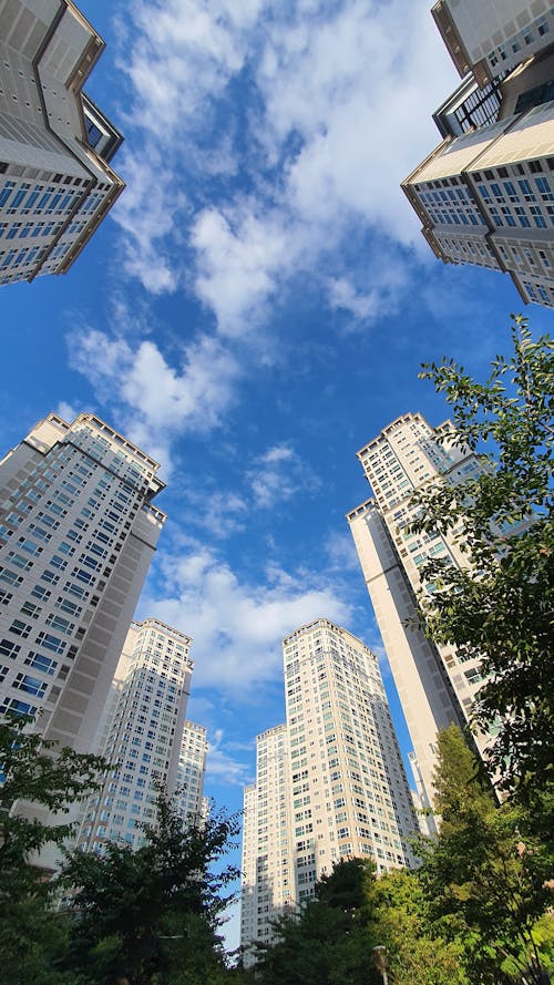 High Rise Buildings Seen From the Bottom