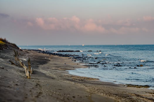 Peaceful Taiwan beach scene with ocean waves and driftwood at sunset. Perfect for travel inspiration.